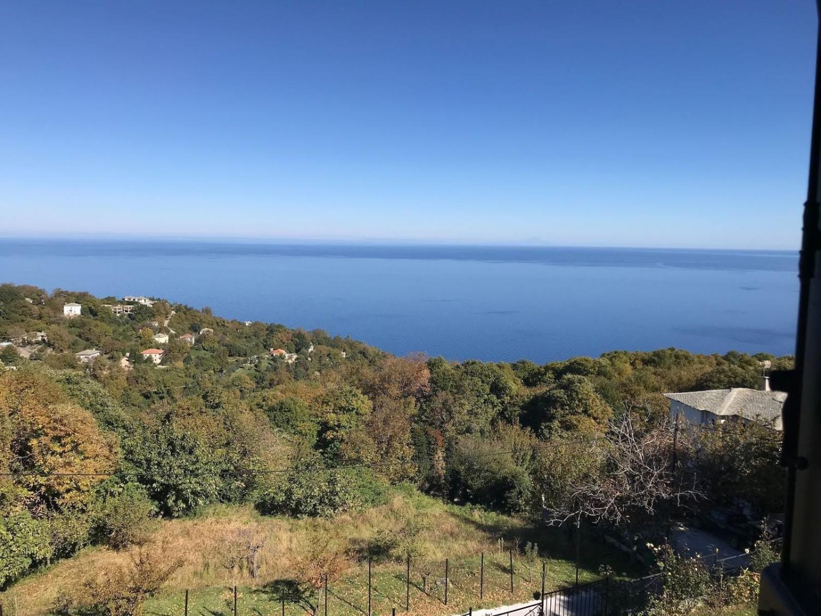 Diogenis Hotel Цагарада Экстерьер фото